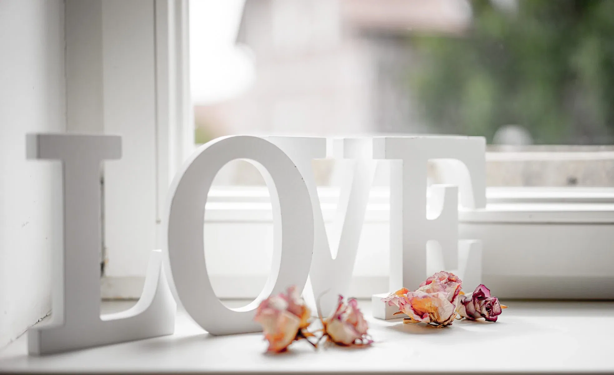 Fotostudio in Osterwieck