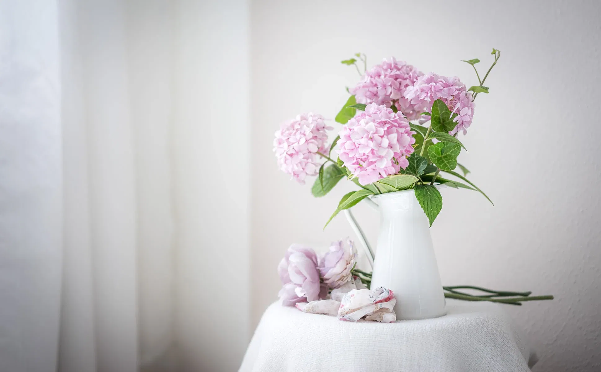 Fotostudio in Osterwieck